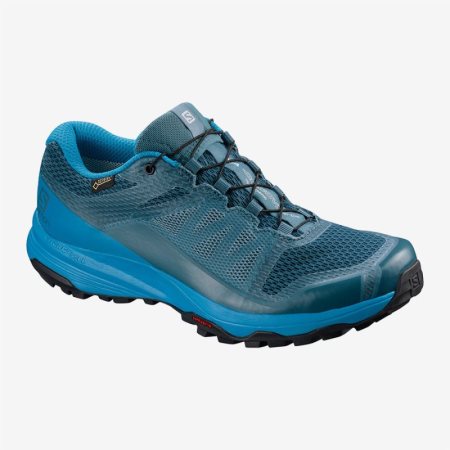 Buty do Biegania Damskie Salomon XA DISCOVERY GTX W Niebieskie - PL 0-ERFC